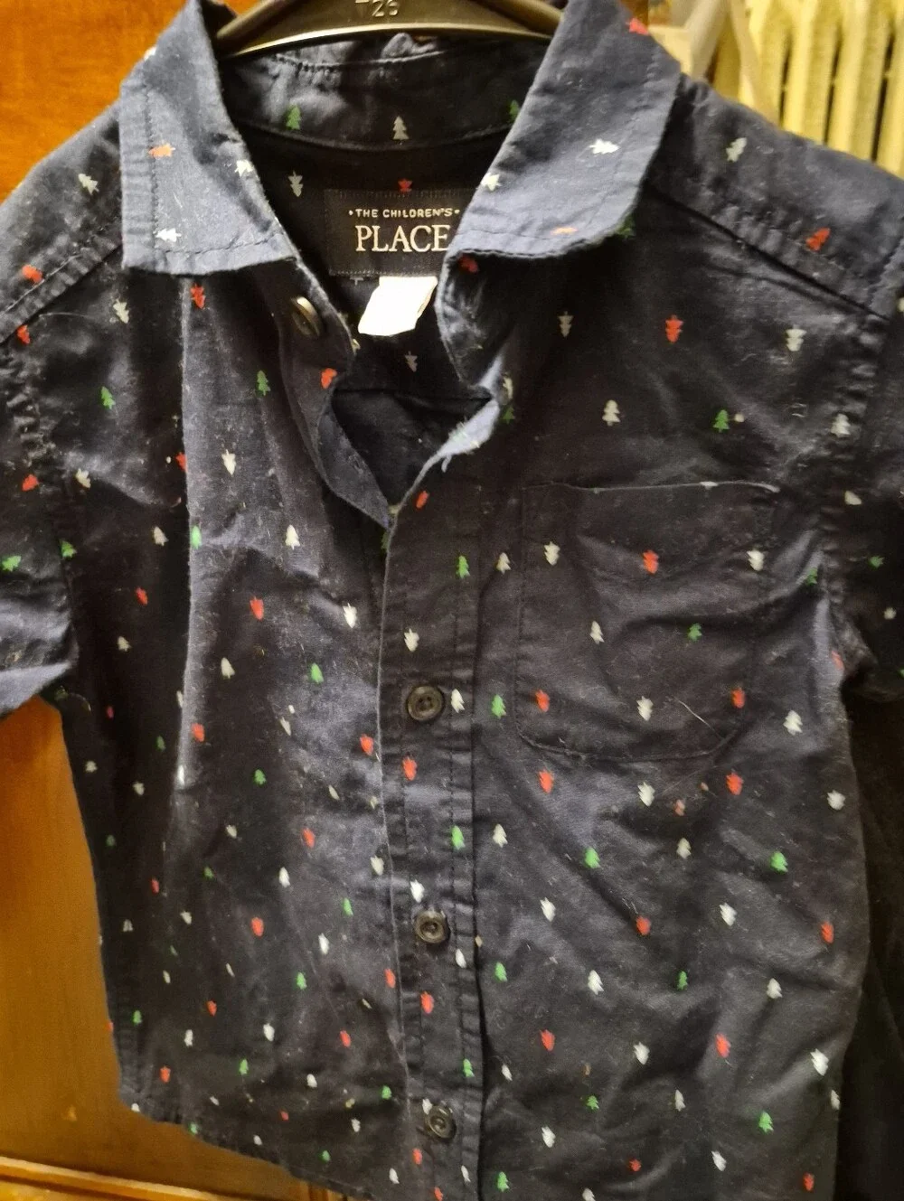 2TThe Children's Place Navy Button-Down Shirt with Red, Green & White Tree Print